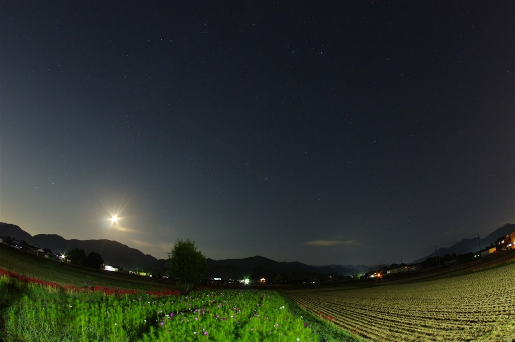 K開封撮影 ZX プロテクター | ケンコー・トキナー