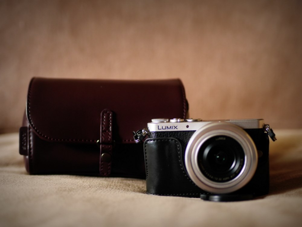 初デジ一眼にオススメ機種は？』 パナソニック LUMIX DMC-GM1SK レンズ