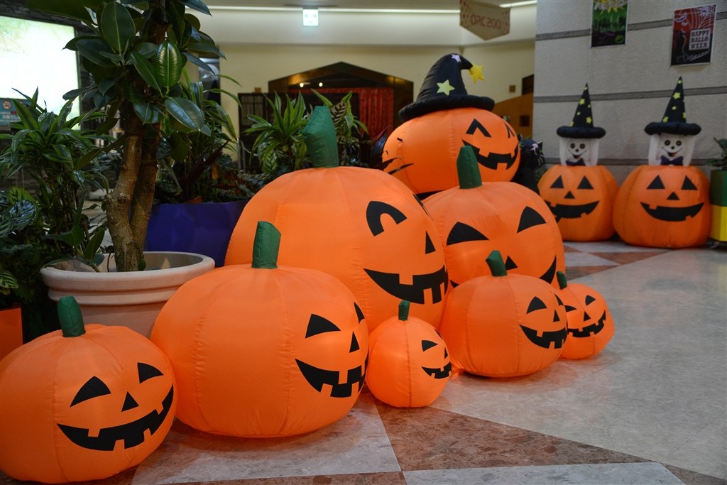 タムロンとシグマのレンズ』 TAMRON 18-200mm F/3.5-6.3 Di II VC