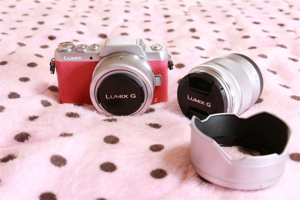 初ﾐﾗｰﾚｽです(^-^)/ 色々と教えてくださいm(_ _)m』 パナソニック LUMIX