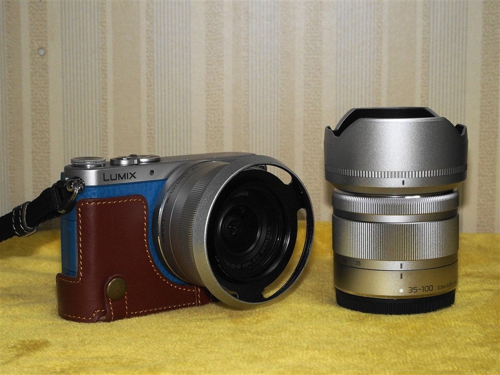 どんなズームレンズ使ってますか？』 パナソニック LUMIX DMC-GM1SK