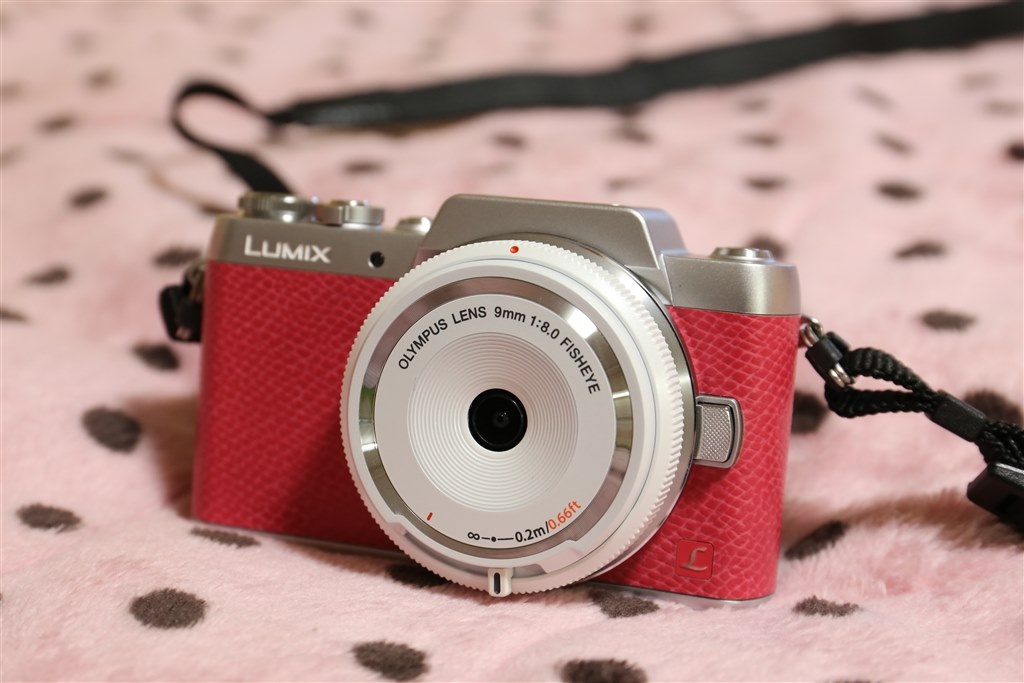 初ﾐﾗｰﾚｽです(^-^)/ 色々と教えてくださいm(_ _)m』 パナソニック LUMIX