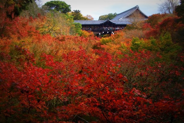 カシオ EXILIM ZOOM EX-Z57投稿画像・動画 - 価格.com