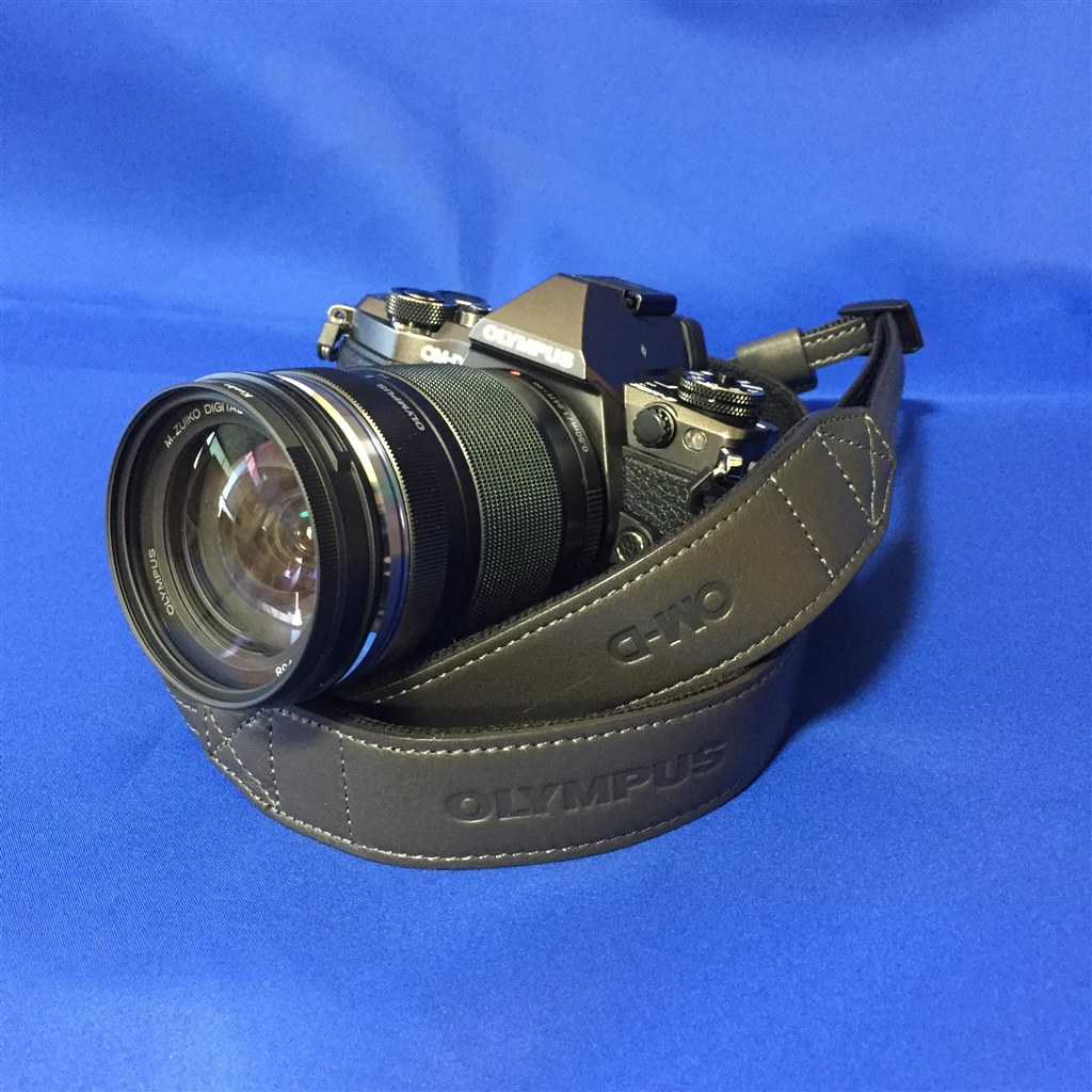 シルバーかブラックか？』 オリンパス OLYMPUS OM-D E-M5 Mark II 14