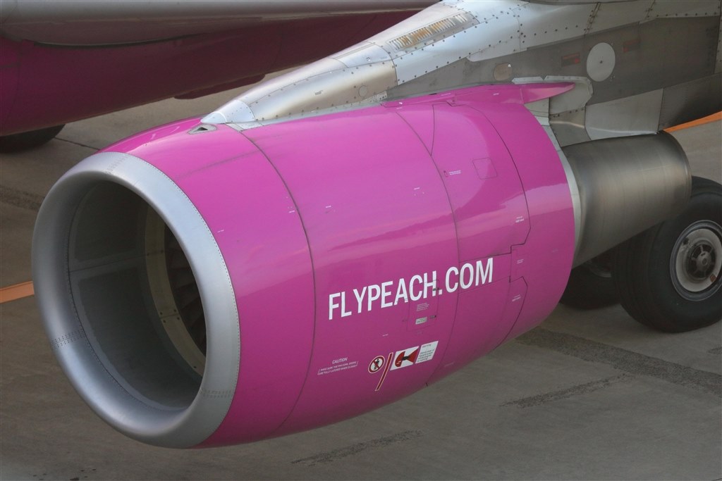 EF100-400mm F4.5-5.6L IS II USMで撮る』 CANON EOS 8000D ボディ の