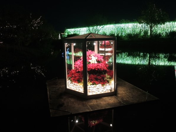 イルミ 夜景 クリスマスのお写真を拝見させて下さい クチコミ掲示板 価格 Com