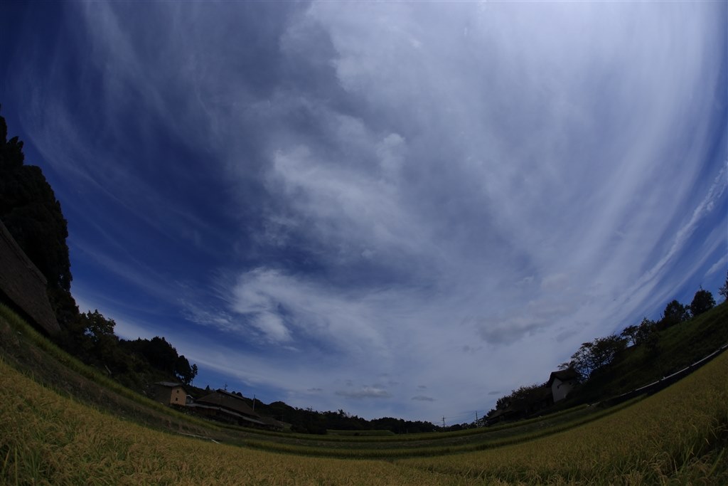 aps-c 70Dにつけたら？』 CANON EF8-15mm F4L フィッシュアイ USM の