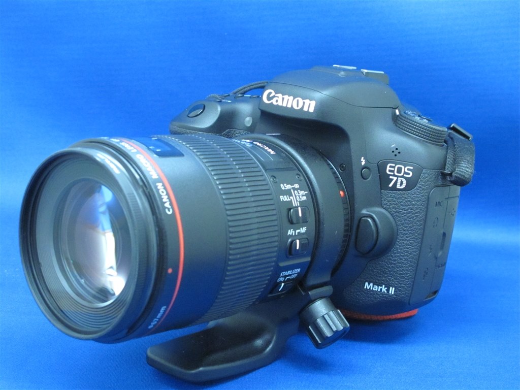 最新作HOT】 Canon EF100F2.8マクロUSM JUk83-m68308721913 lasalmenas