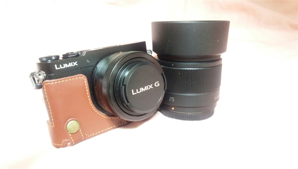 COTTA Panasonic GM5用　本革ボディケース