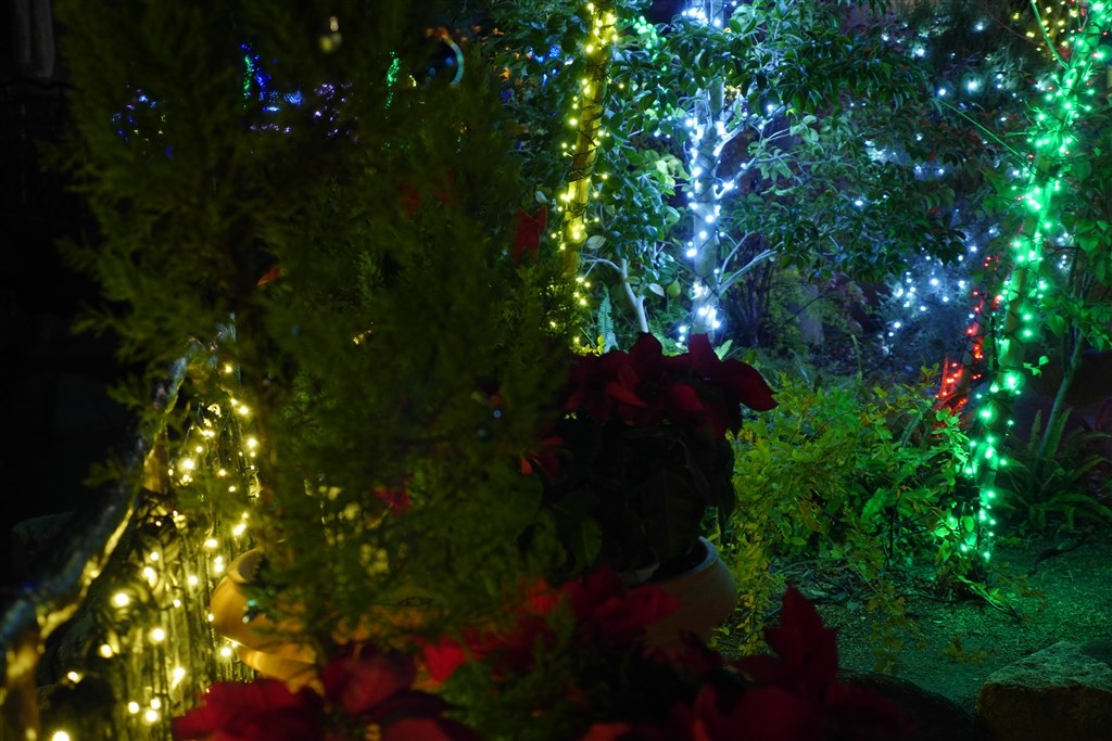 evergreen christmas〜動きある大きなクリスマスオーバルリース