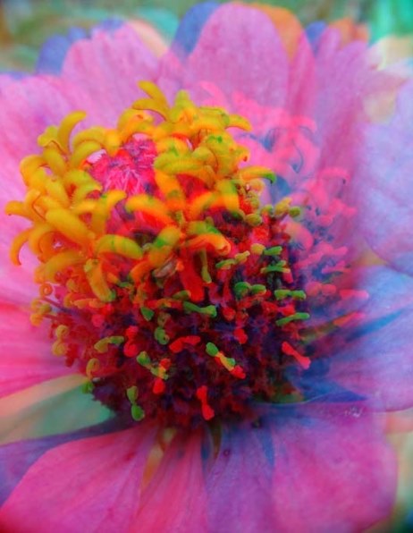 パナソニック LUMIX G 12.5mm/F12 H-FT012投稿画像・動画 - 価格.com