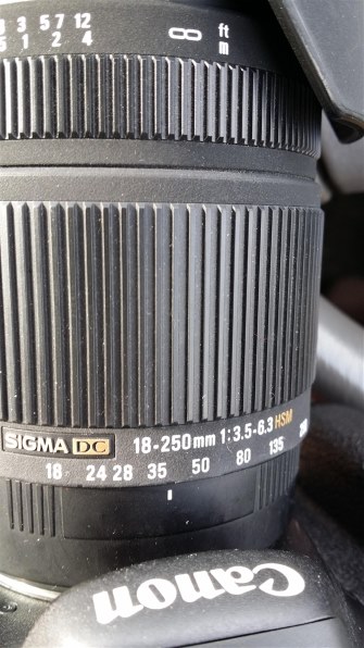 シグマ 18-250mm F3.5-6.3 DC  OS HSM Canon