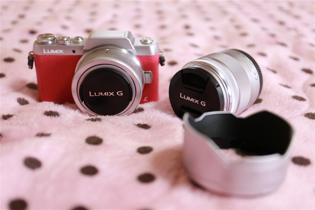 人気ブランドを レンズふード付けていますでしょうか？』 パナソニック LUMIX デジタルカメラ