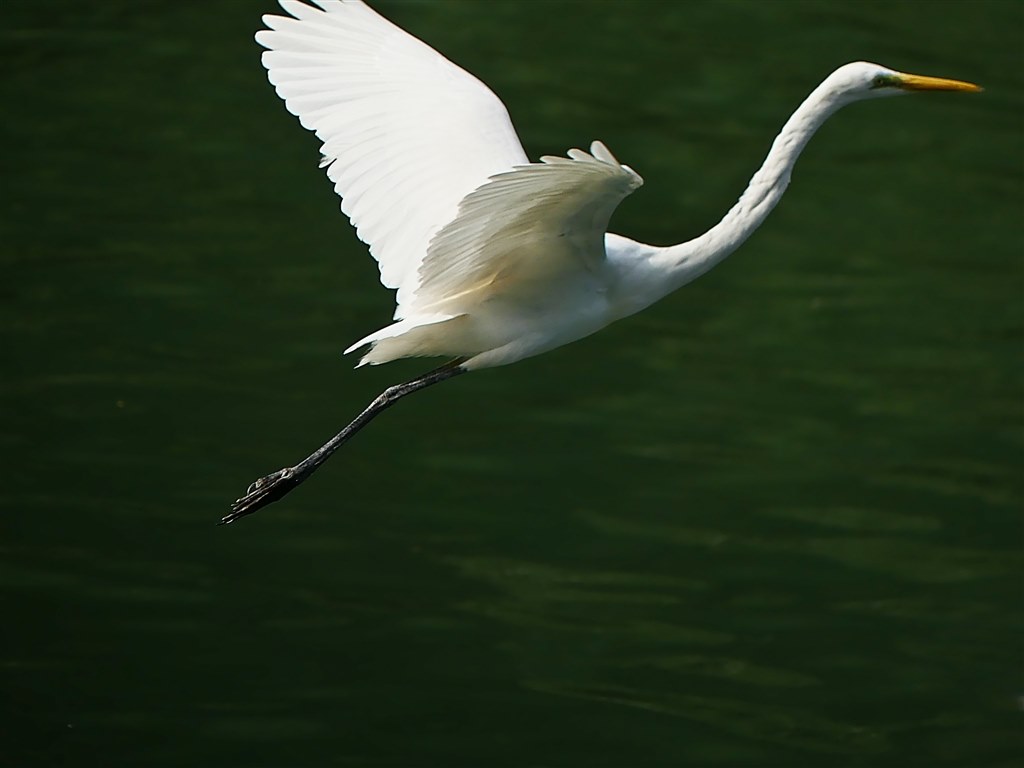 FZ300にドットサイトを付けてみました．』 パナソニック LUMIX DMC