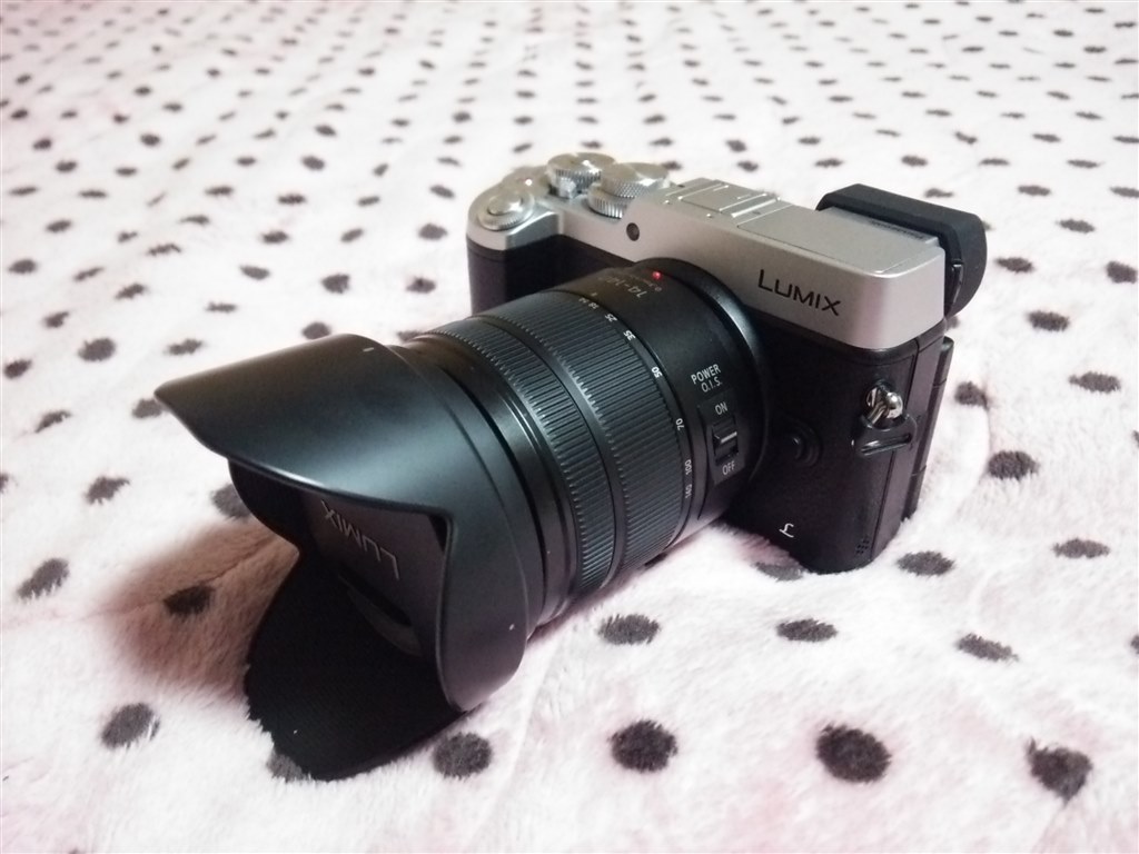 滑り込みました＼(^o^)／』 パナソニック LUMIX DMC-GX8H 高倍率ズーム