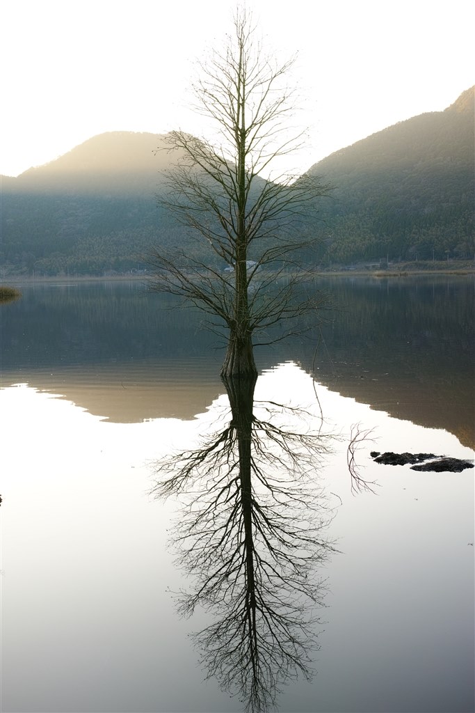 写真撮ってなかったですが・・・』 シグマ SIGMA dp2 Quattro の