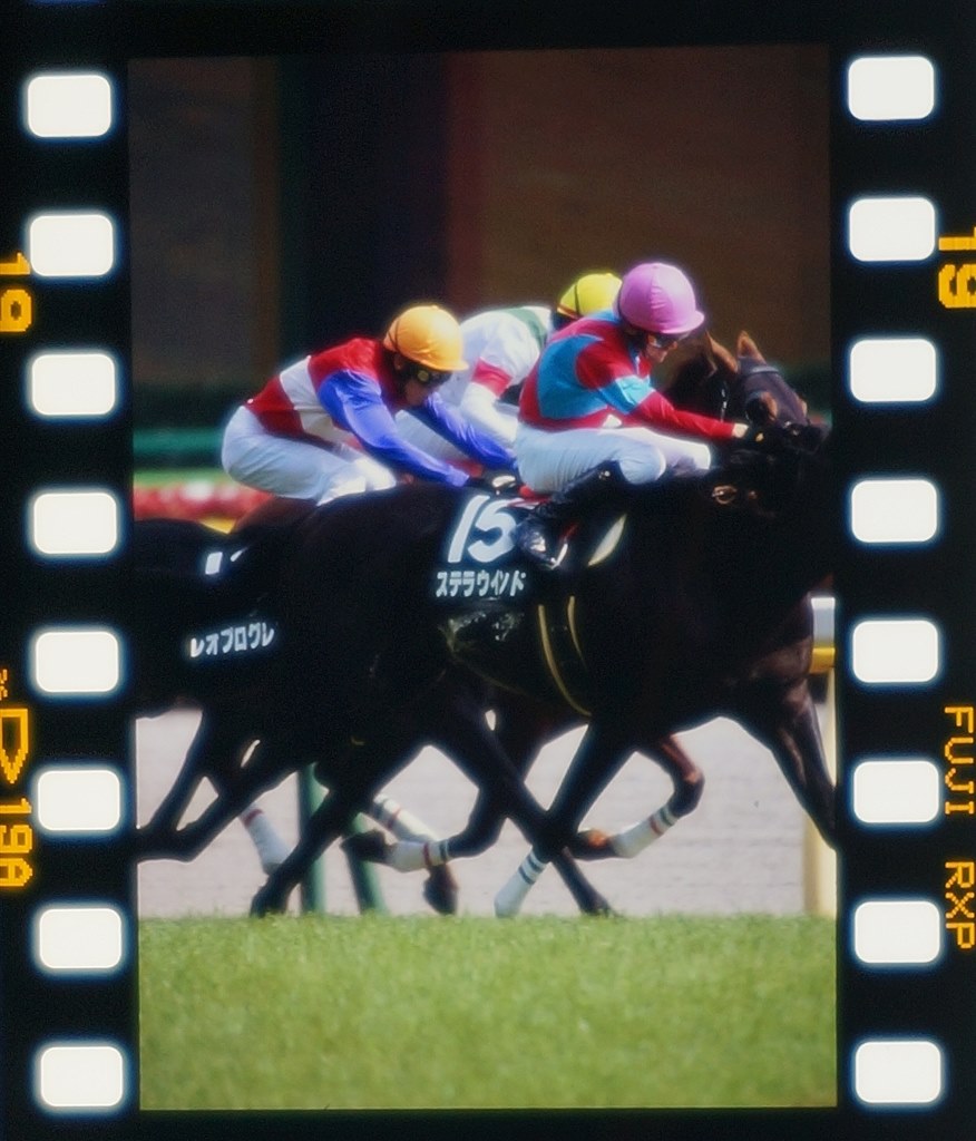 ニコン F5 動作品 2025年最新】nikon f5の人気アイテム - メルカリ