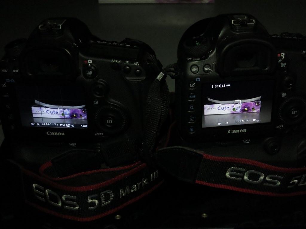 5D3との露出シミュレーションの違いについて』 CANON EOS 5Ds R 5D3との露出シミュレーションの違いについて』 CANON EOS 5Ds R