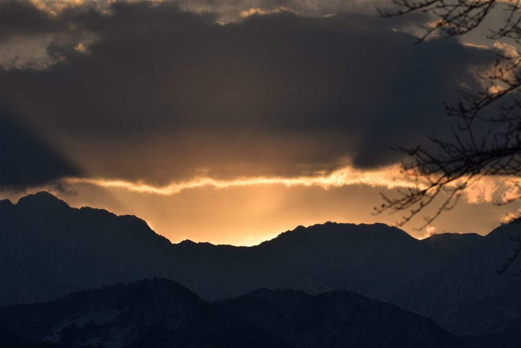 手ぶれ補正が良い!!』 シグマ APO 50-500mm F4.5-6.3 DG OS HSM