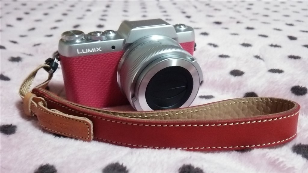 #2026 PowerShot G5 Canon バリアングルで自撮り Canon Powershot G5 X MKII