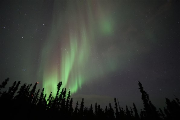 SAMYANG 10mm F2.8 ED AS NCS CS [ニコン用]投稿画像・動画 - 価格.com