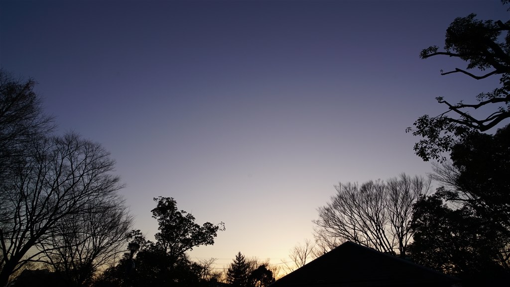 FE16-35mmの風景夜景に大満足』 SONY Vario-Tessar T* FE 16-35mm F4