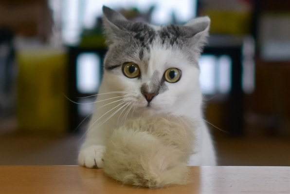 【作例有※実用】Nikon 単焦点 AF-S NIKKOR 28mm f1.8G ニコン AF-S NIKKOR 28mm f/1.8G 価格比較 - 価格.com