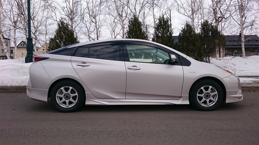 エアロスタビライジングフィン トヨタ プリウスα スティールブロンド