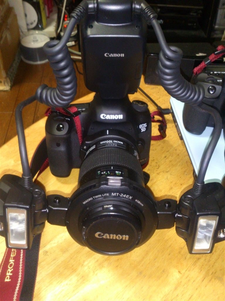 三脚座をつけてみた』 CANON EF100mm F2.8L マクロ IS USM の 三脚座をつけてみた』 CANON EF100mm F2.8L マクロ IS USM の