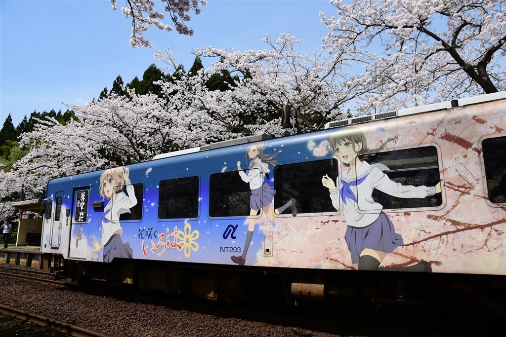 D7200とAF-S DX16-85ED VRってどうでしょうか?』 ニコン D7200 D7200とAF-S DX16-85ED VRってどうでしょうか?』 ニコン D7200