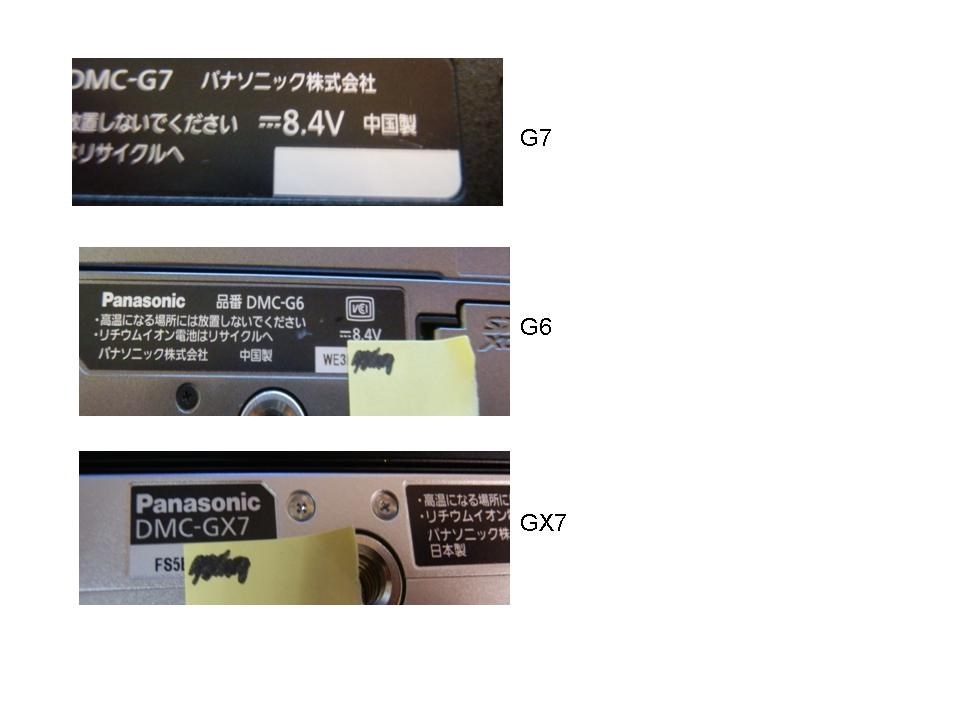mxmxm シリアルナンバー 大人しく No.001