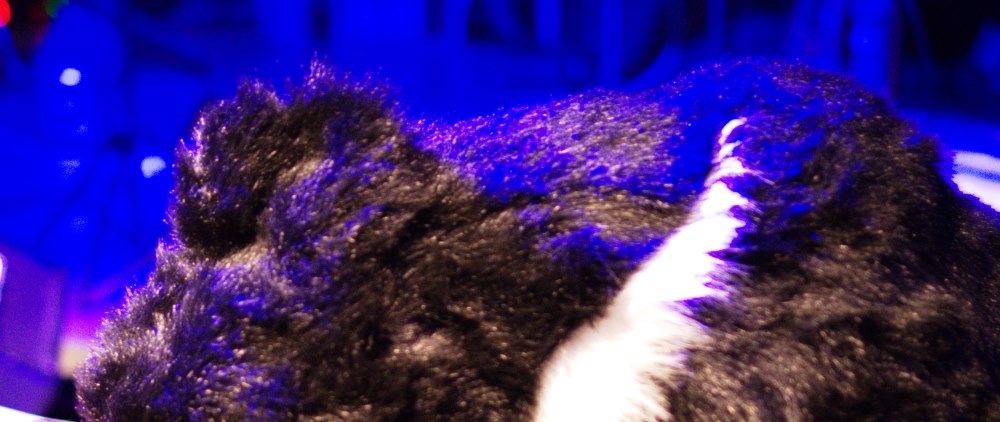 ☆表示不良域あり品☆ペンタックス K-5 IIs ボディ #20743 不具合報告