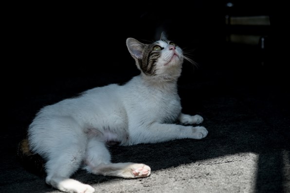 FUJIFILM X-E1 同好会ーPART4』 富士フイルム FUJIFILM X-E1 ボディ