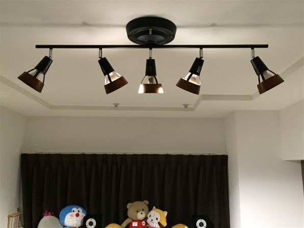 DALI ZENSOR7 [ライトウォールナット 単品]投稿画像・動画 - 価格.com