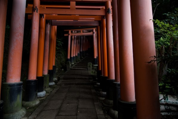 ペンタックス smc PENTAX-DA 12-24mmF4 ED AL[IF]で撮影された写真