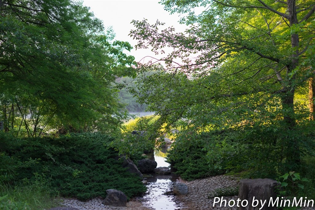 SONY（ソニー） SEL50F18 E 50mm F1.8 OSS 実写レビュー