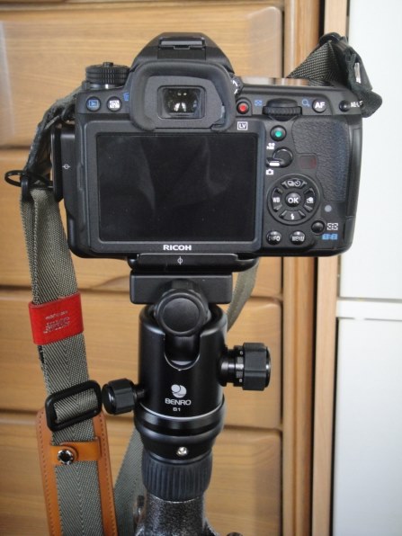 SONY サイバーショット DSC-T900で撮影された写真 - 価格.com