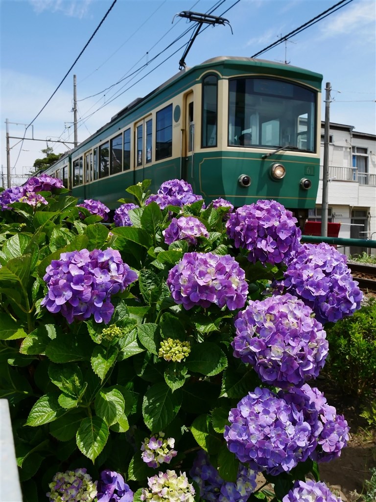 写真撮影 EVERYBODY×PHOTOGRAPHER】NIKKOR Z 70-200mm F2.8 VR Sで撮影された