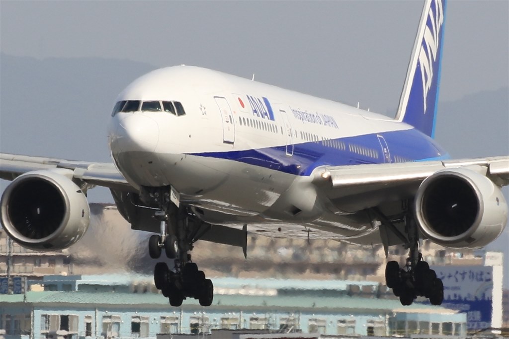 旅客機』 シグマ APO 50-500mm F4.5-6.3 DG OS HSM (ニコン用) の