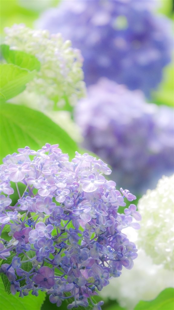 kiss X7を購入したのですが…』 CANON EOS Kiss X7 ダブルズームキット kiss X7を購入したのですが…』 CANON EOS Kiss X7 ダブルズームキット
