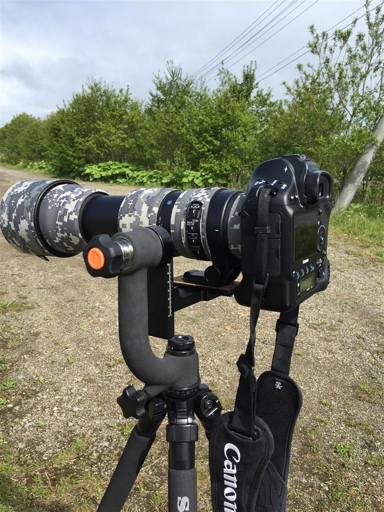 三脚の選び方』 シグマ 150-600mm F5-6.3 DG OS HSM Contemporary