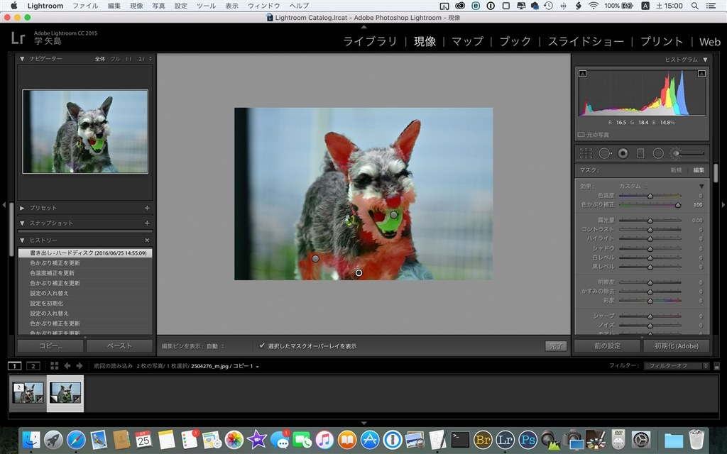 人工芝での緑かぶりについて』 ニコン D7100 ボディ のクチコミ掲示板