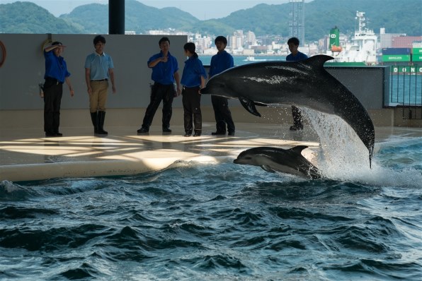 フジカラーで写そう総合機種編no １１オープン致します クチコミ掲示板 価格 Com