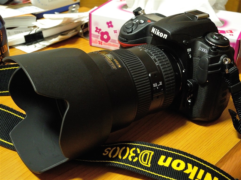 今更ながら』 ニコン AF-S DX Zoom-Nikkor 17-55mm f/2.8G IF-ED の