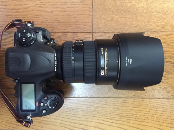 今更ながら』 ニコン AF-S DX Zoom-Nikkor 17-55mm f/2.8G IF-ED