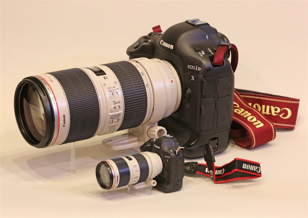 Canon EOS 1DX markⅡ+EF 70-200/F2.8