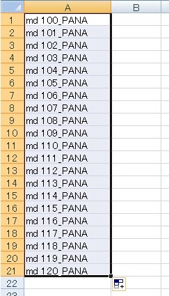 複数のパナソニックのデジカメで、ファイル名を重複させない方法