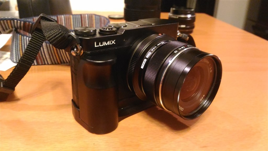 SUNWAYFOTO PPL-GM Custom Plate for LUMIX DMC-GM1 (美品） GM1/GM5用グリップ  SUNWAYFOTO PPL-GM QR Plate for Panasonic LUMIX DMC-GM1 Camera Arca