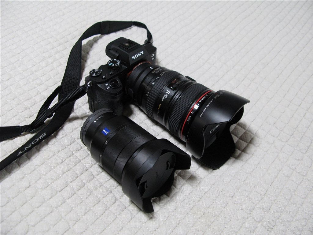 Canon EF 24-105mm +EF 50mm F2.5+接写コンバーター