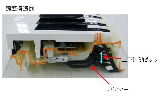 鍵盤の構造確認しました。延長保証お薦めです。』 カシオ Privia 鍵盤の構造確認しました。延長保証お薦めです。』 カシオ Privia